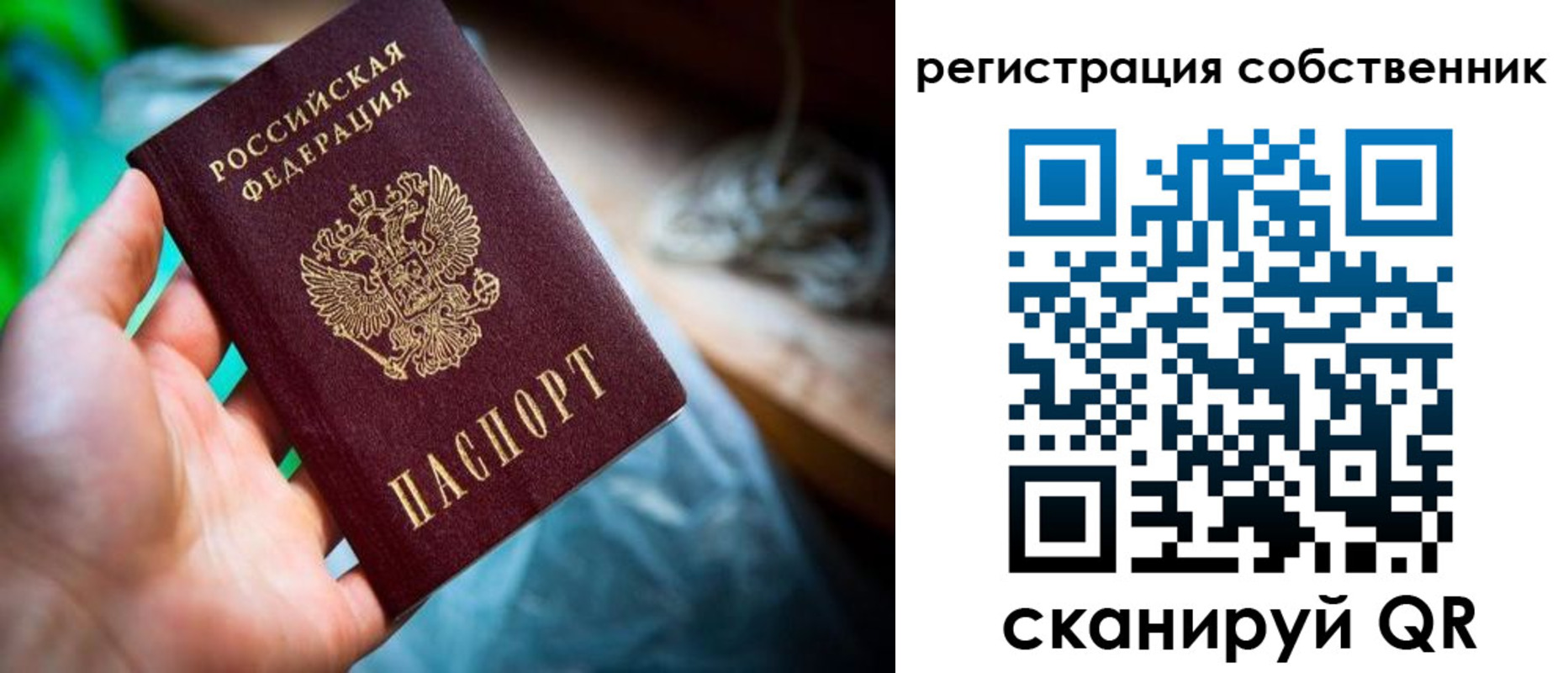 прописка гарантия в Голицыно